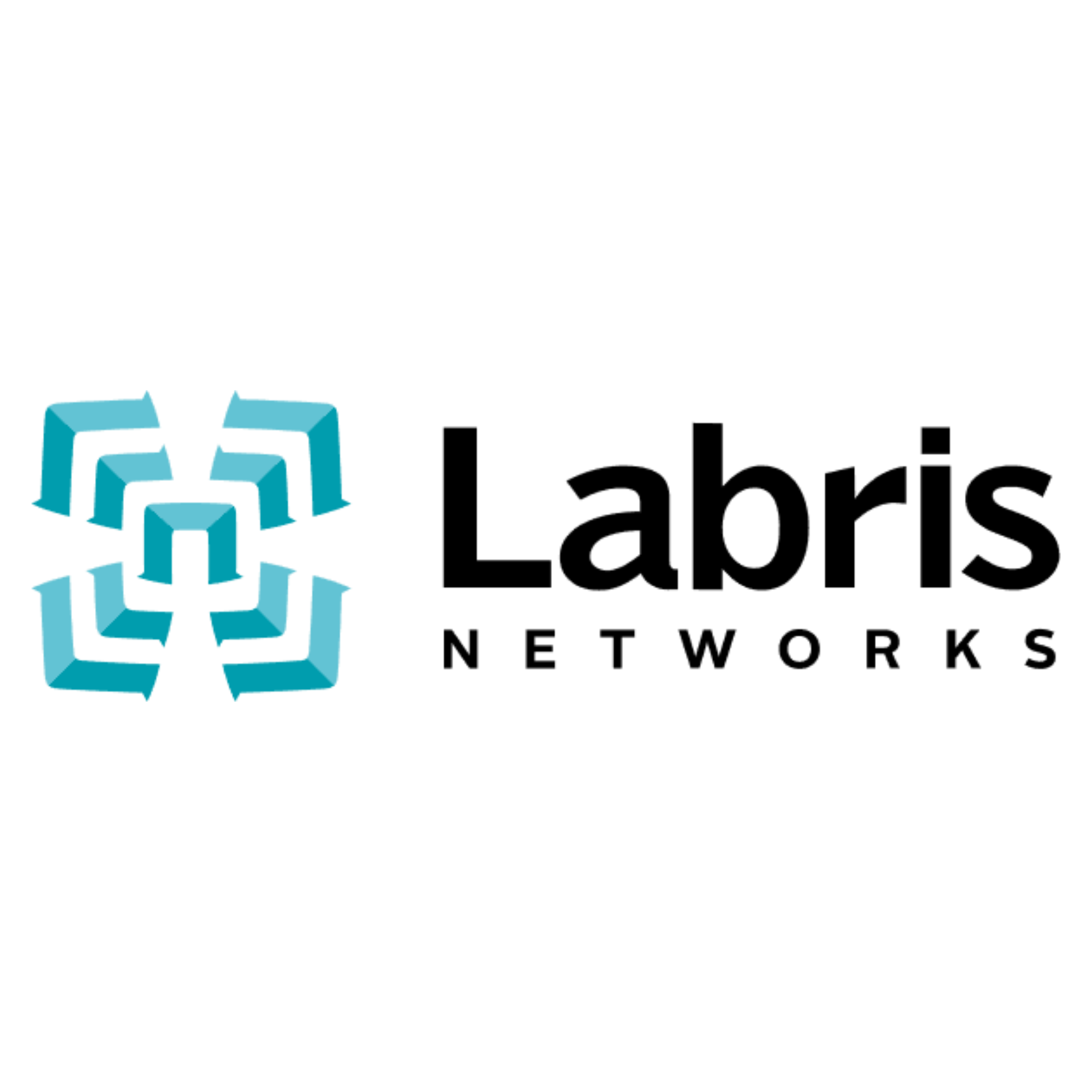 Labris Networks