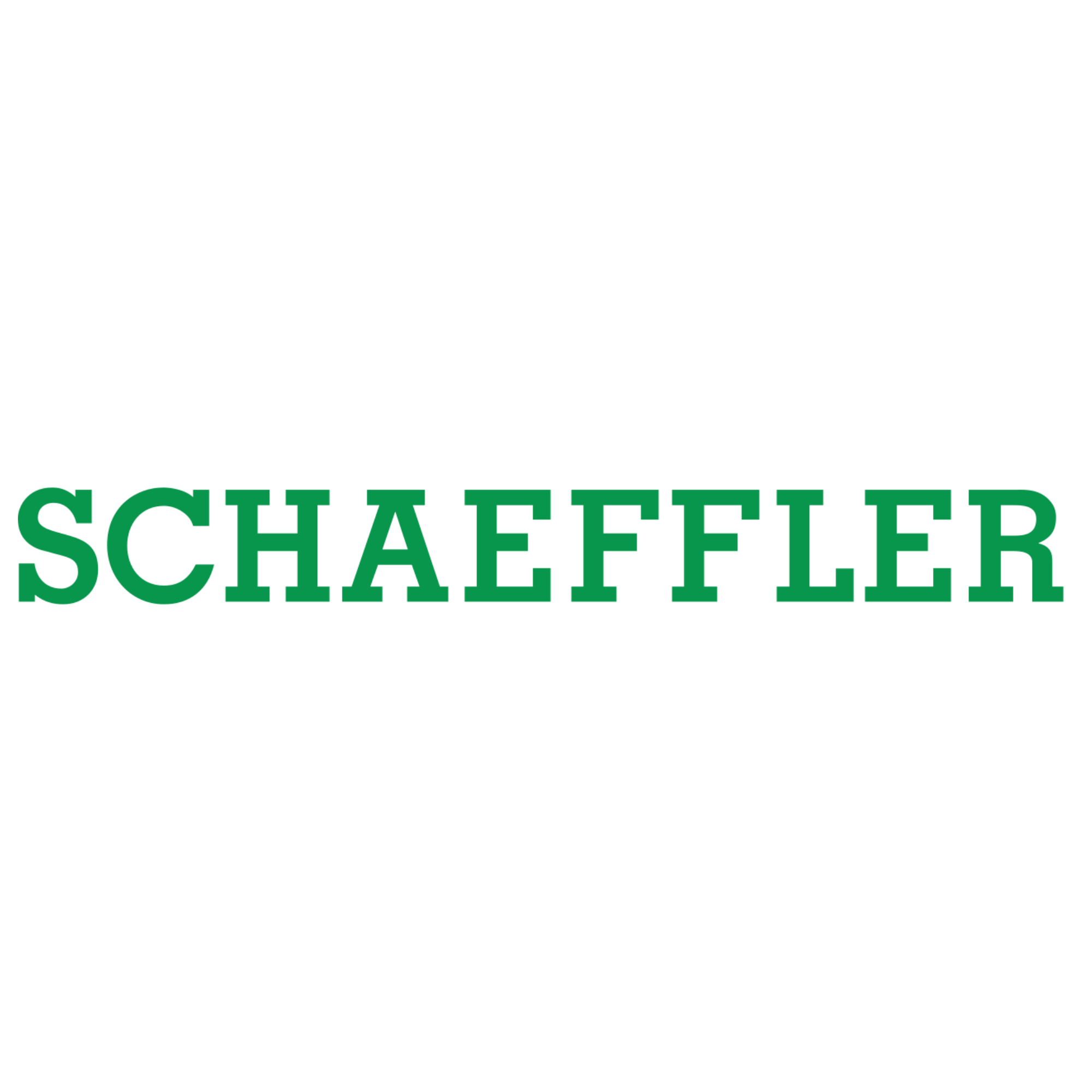 Schaeffler Automotive After Market