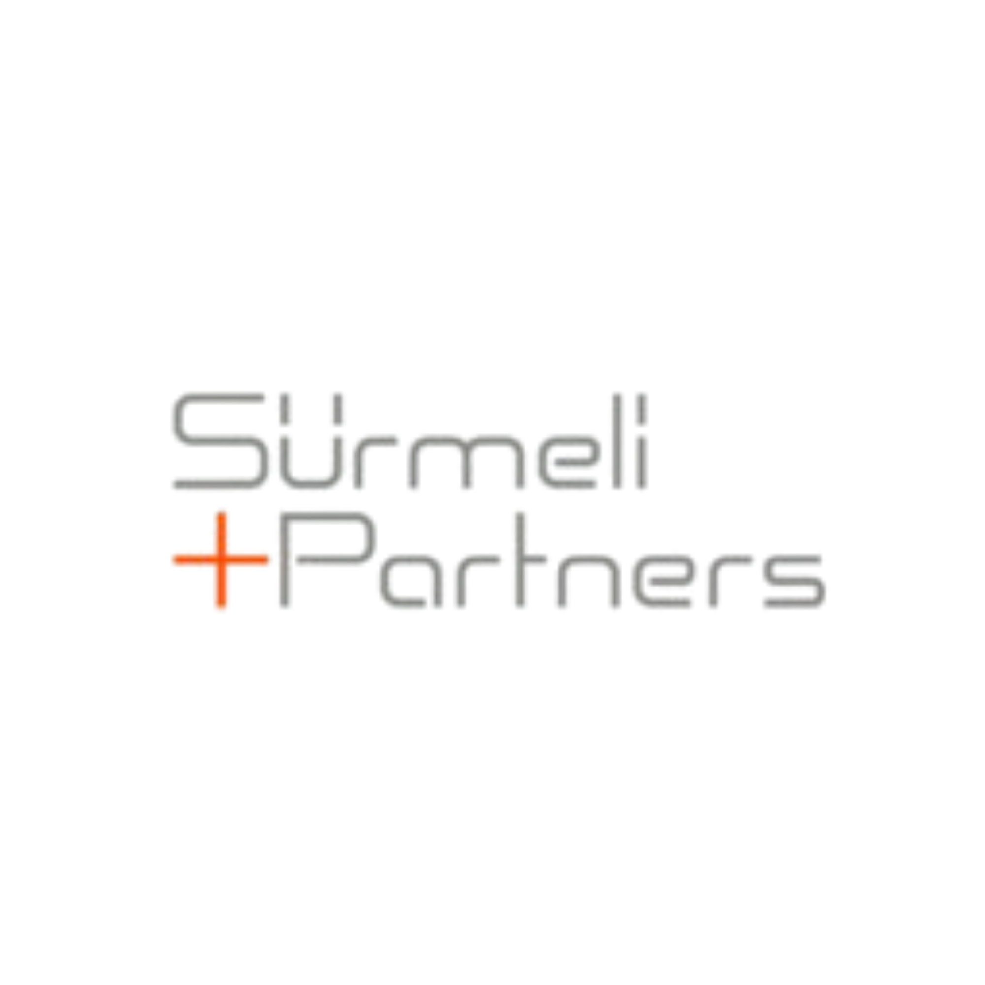 Sürmeli & Partners